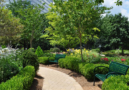 Calztec-facilities-management-and-maintenance-landscaping